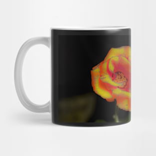 Yellow red rose blossom Mug